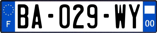 BA-029-WY