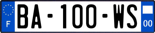 BA-100-WS