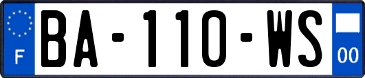BA-110-WS