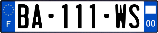 BA-111-WS