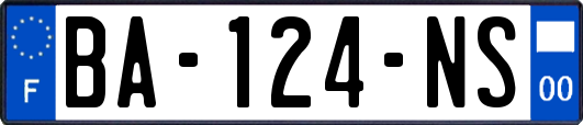 BA-124-NS