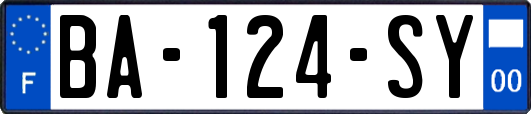 BA-124-SY