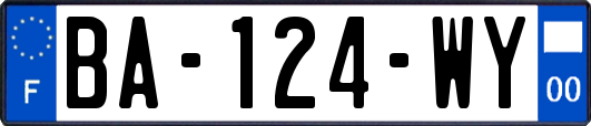 BA-124-WY
