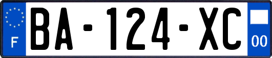 BA-124-XC