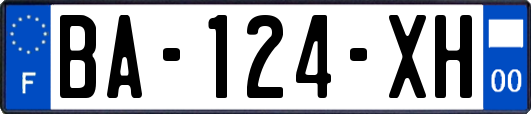 BA-124-XH