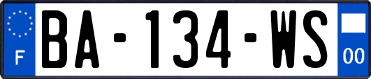 BA-134-WS