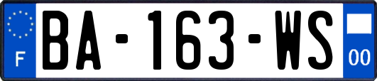 BA-163-WS