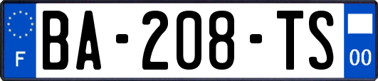 BA-208-TS