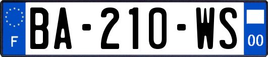 BA-210-WS