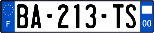 BA-213-TS