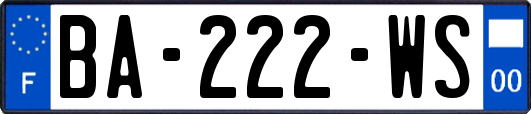 BA-222-WS