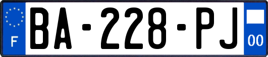 BA-228-PJ