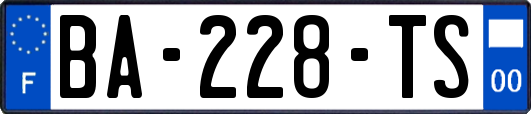 BA-228-TS