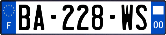 BA-228-WS
