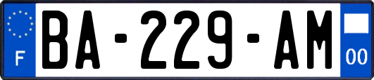 BA-229-AM