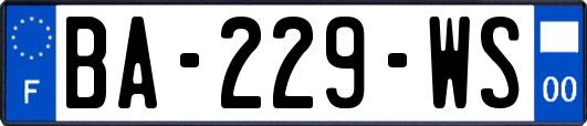 BA-229-WS