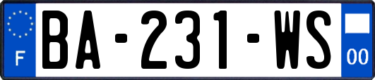 BA-231-WS