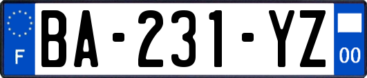 BA-231-YZ