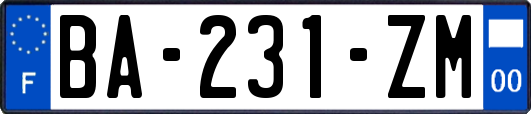 BA-231-ZM