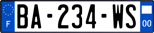 BA-234-WS