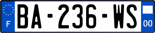 BA-236-WS
