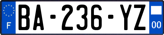 BA-236-YZ