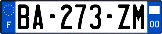 BA-273-ZM