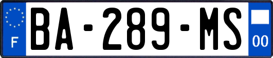 BA-289-MS