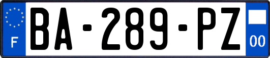 BA-289-PZ