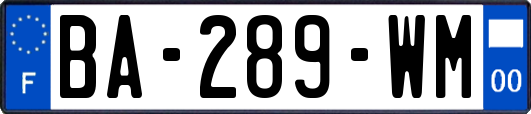 BA-289-WM