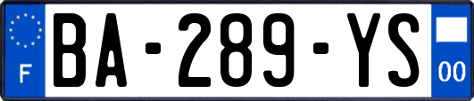 BA-289-YS