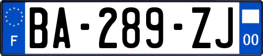 BA-289-ZJ