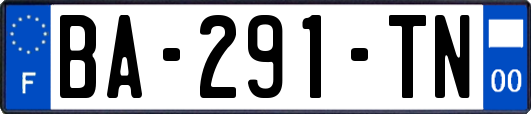 BA-291-TN