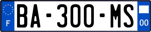 BA-300-MS