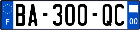 BA-300-QC