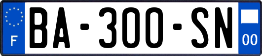 BA-300-SN