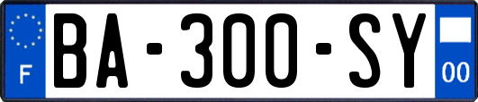 BA-300-SY