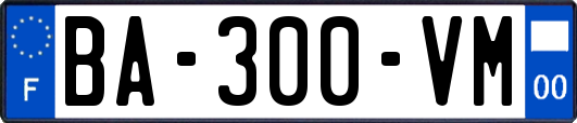 BA-300-VM