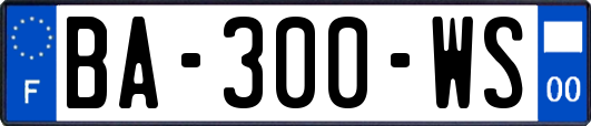 BA-300-WS