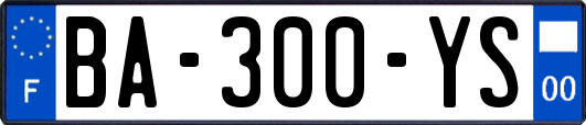 BA-300-YS