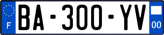 BA-300-YV