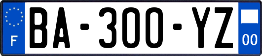 BA-300-YZ