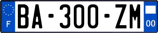 BA-300-ZM