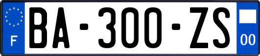 BA-300-ZS