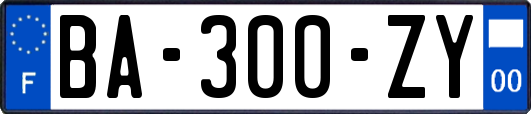 BA-300-ZY