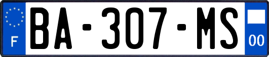 BA-307-MS