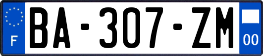 BA-307-ZM