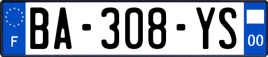 BA-308-YS