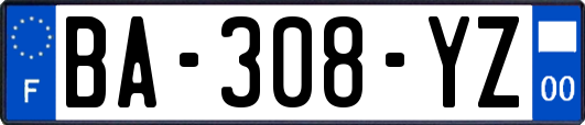 BA-308-YZ