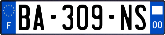 BA-309-NS